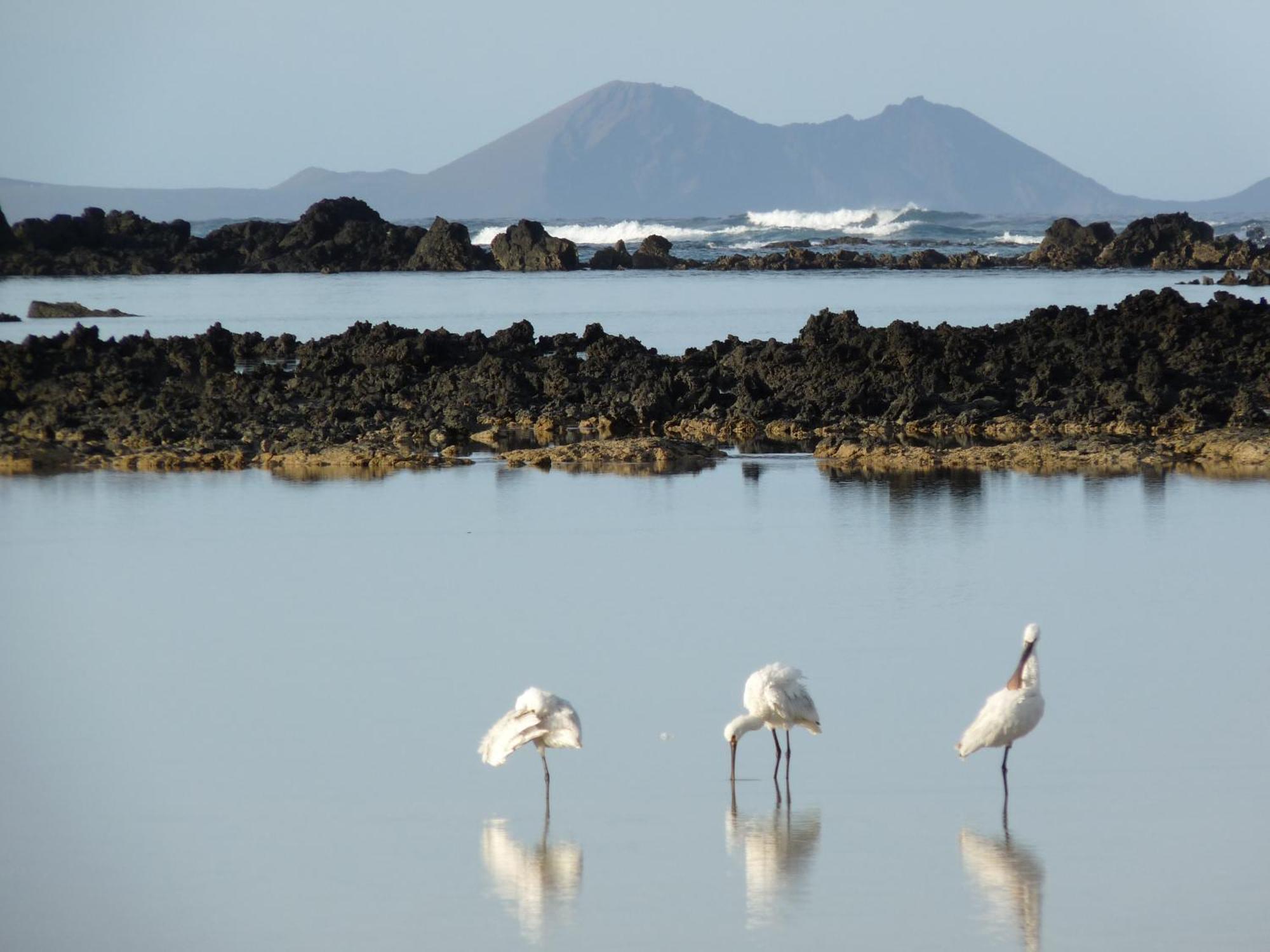 Casa Ana Y El Mar - Enamorados Del Mar - Lanzarote Hébergement de vacances Teguise (Lanzarote)